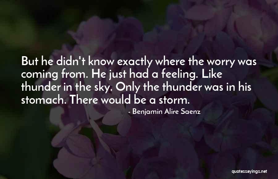 Izzys Bbq Quotes By Benjamin Alire Saenz Izzys Bbq Quotes By Benjamin Alire Saenz