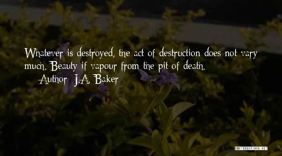 J.A. Baker Quotes 905352