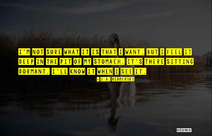 J.A. Redmerski Quotes 2165652 J.A. Redmerski Quotes 2165652