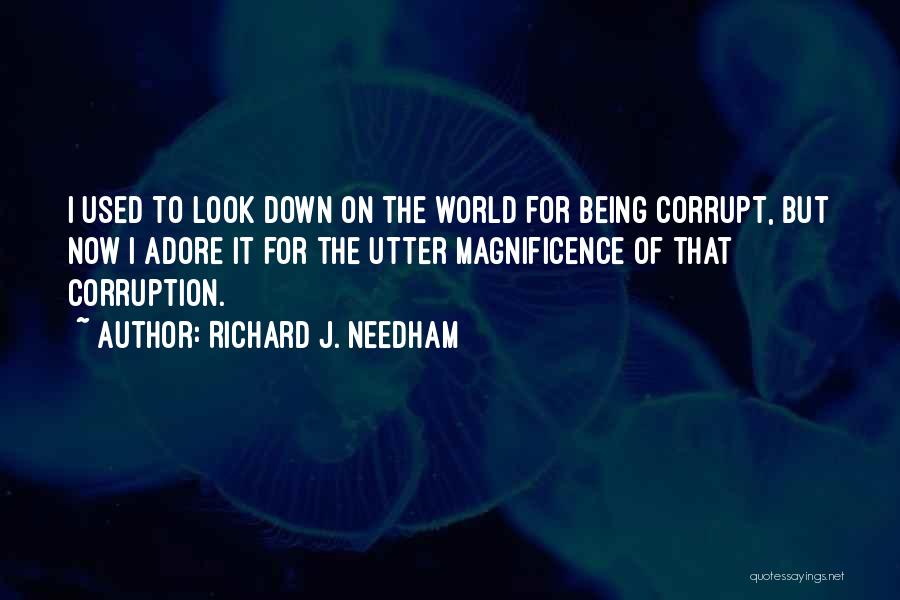 J Adore Quotes By Richard J. Needham