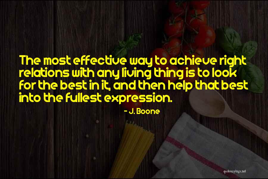 J. Boone Quotes 132768