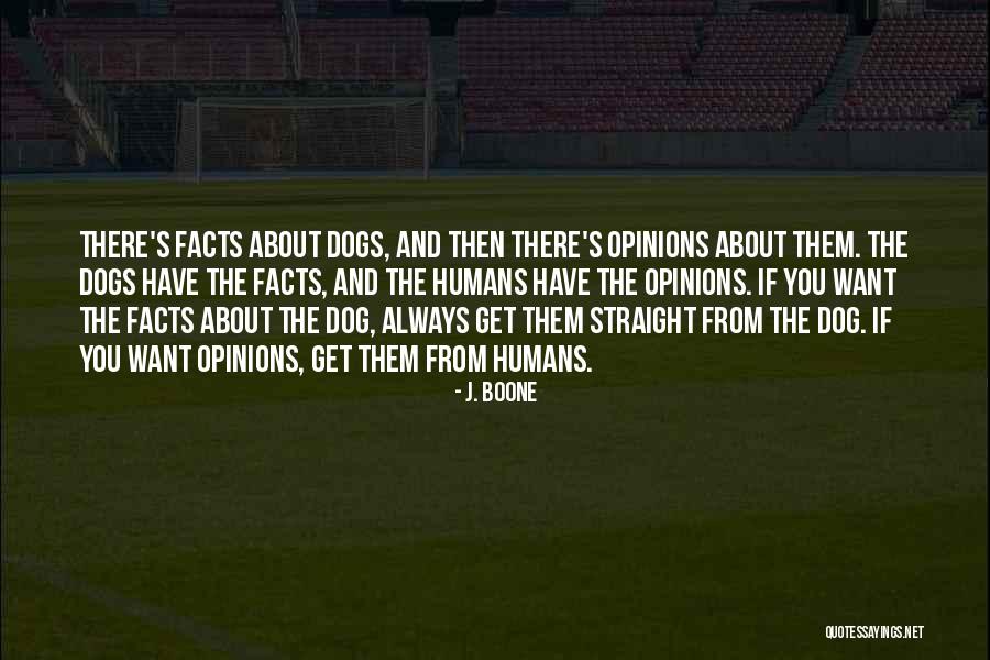 J. Boone Quotes 1906059 J. Boone Quotes 1906059