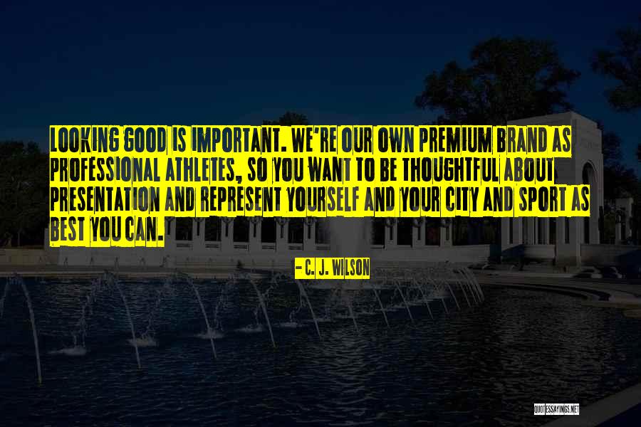 J Brand Quotes By C. J. Wilson