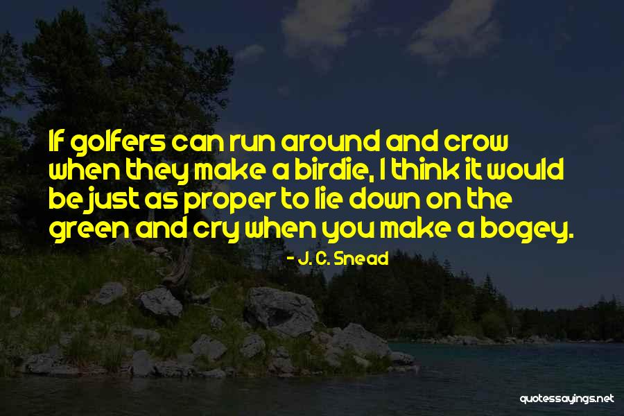 J. C. Snead Quotes 1240700