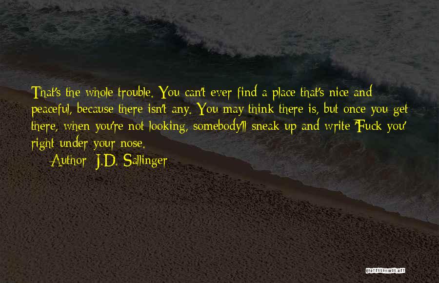 J.D. Sallinger Quotes 1998740