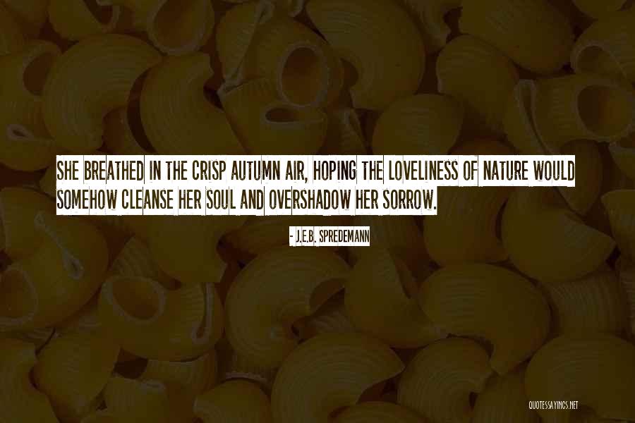 J.E.B. Spredemann Quotes 1668491 J.E.B. Spredemann Quotes 1668491