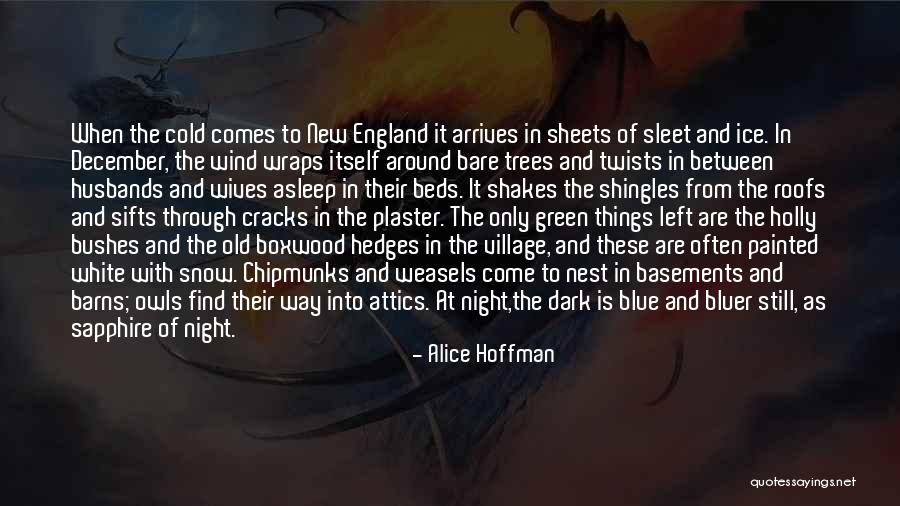 J E Hedges Quotes By Alice Hoffman J E Hedges Quotes By Alice Hoffman