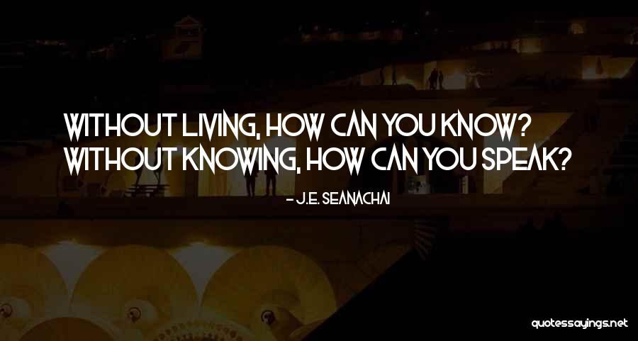 J.E. Seanachai Quotes 1725129