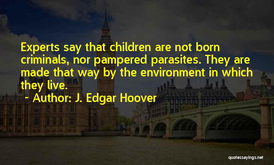 J. Edgar Hoover Quotes 1452491