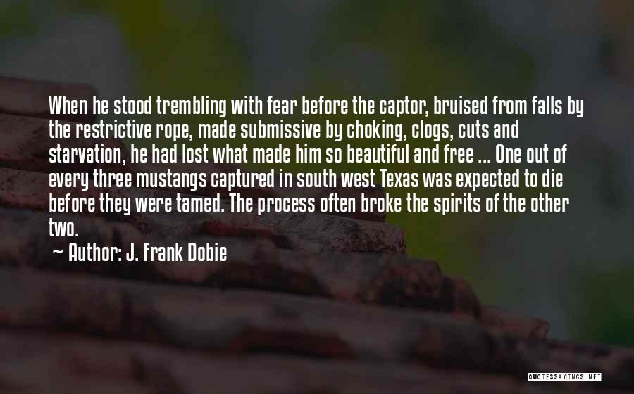 J. Frank Dobie Quotes 2155554