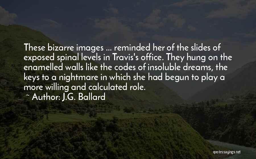 J.G. Ballard Quotes 1691010