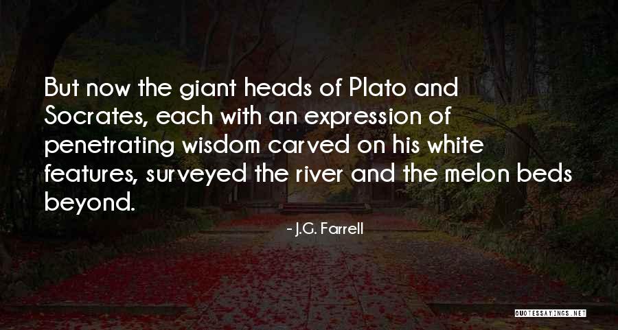 J.G. Farrell Quotes 1607034 J.G. Farrell Quotes 1607034
