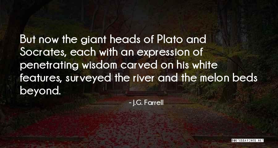 J.G. Farrell Quotes 1607034