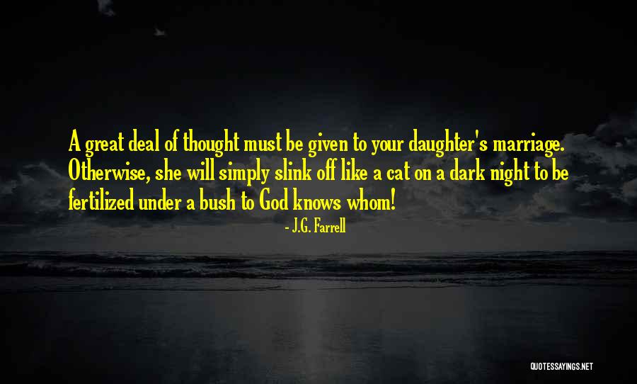 J.G. Farrell Quotes 893099