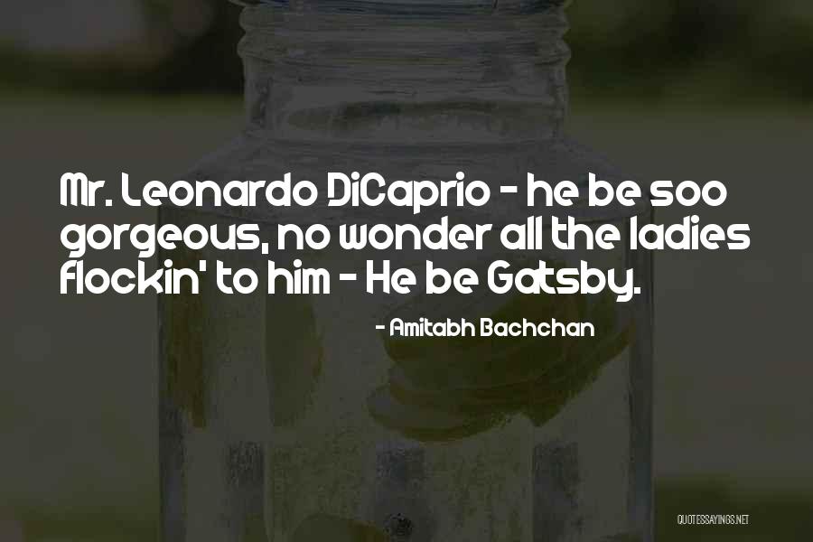 J Gatsby Quotes By Amitabh Bachchan