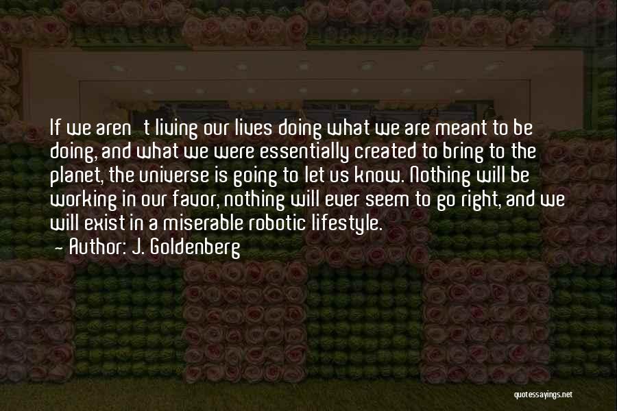 J. Goldenberg Quotes 165156