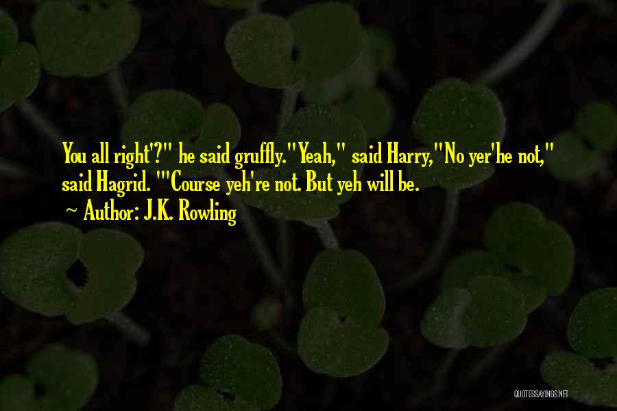 J.K. Rowling Quotes 1922564