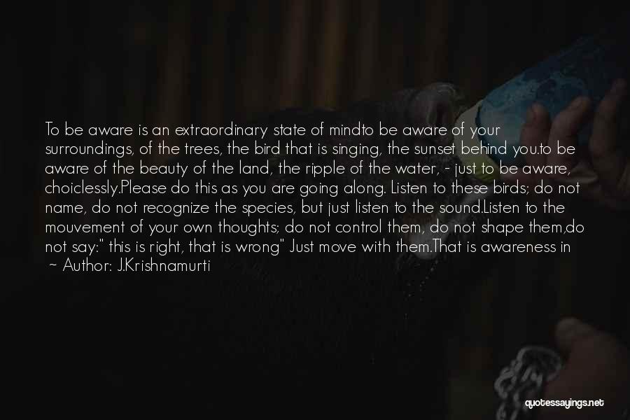 J.Krishnamurti Quotes 274122
