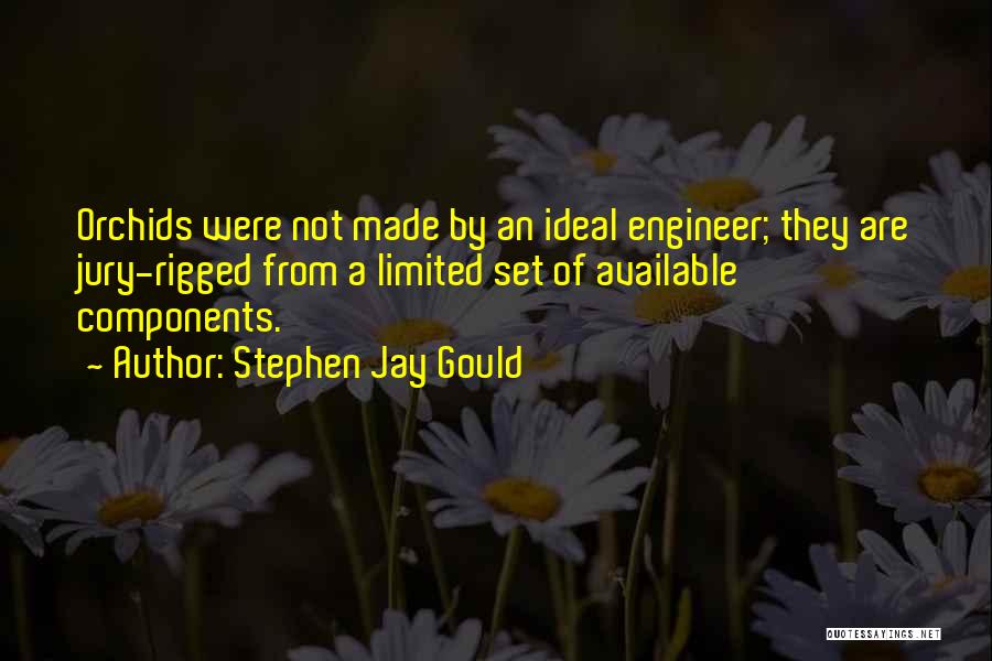 J L Orchids Quotes By Stephen Jay Gould
