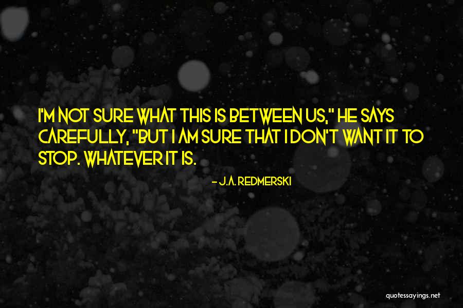 J M A Quotes By J.A. Redmerski J M A Quotes By J.A. Redmerski