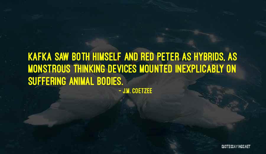 J.M. Coetzee Quotes 1105600