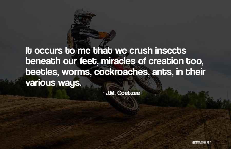 J.M. Coetzee Quotes 1366223