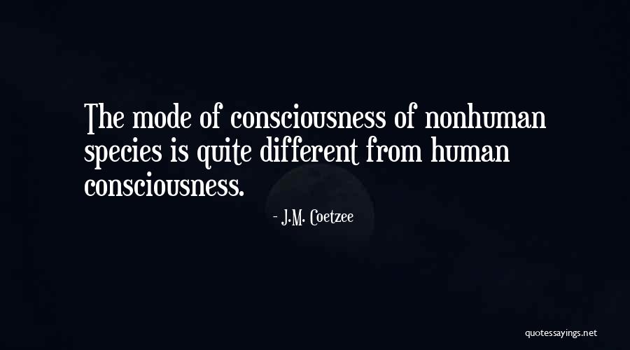 J.M. Coetzee Quotes 137407 J.M. Coetzee Quotes 137407