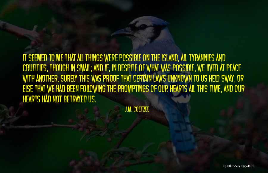 J.M. Coetzee Quotes 1557328