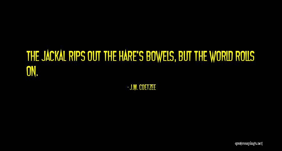 J.M. Coetzee Quotes 1985214