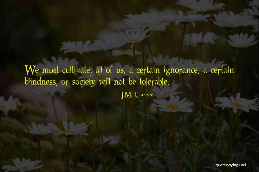 J.M. Coetzee Quotes 2008562