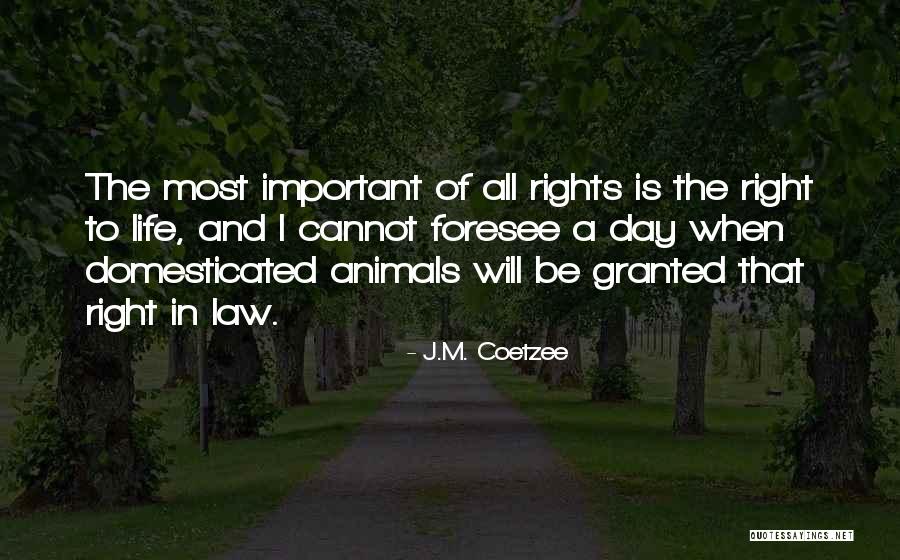 J.M. Coetzee Quotes 2055021 J.M. Coetzee Quotes 2055021