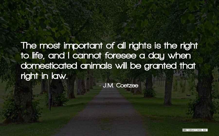 J.M. Coetzee Quotes 2055021