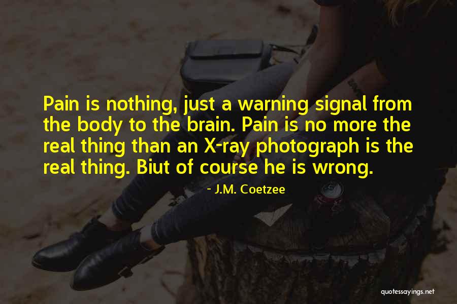 J.M. Coetzee Quotes 460122