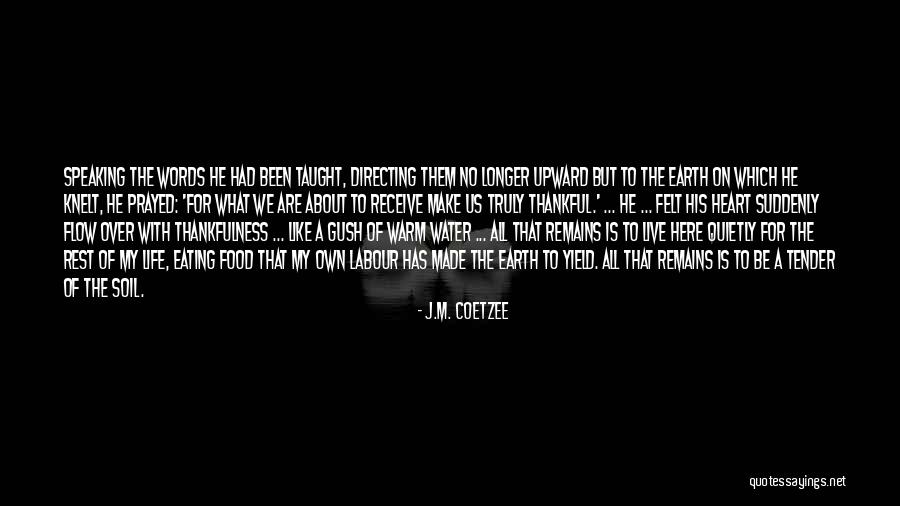 J.M. Coetzee Quotes 591069