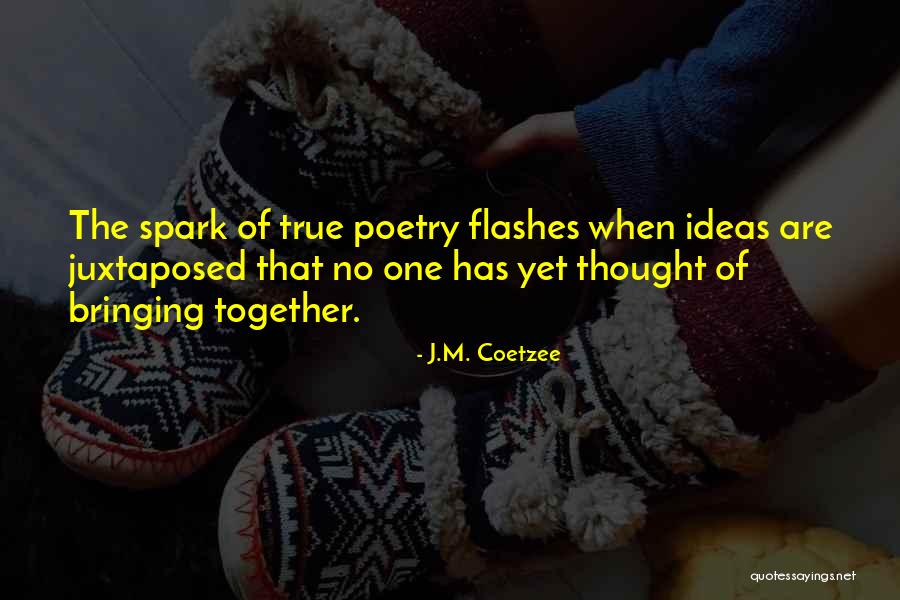 J.M. Coetzee Quotes 717930