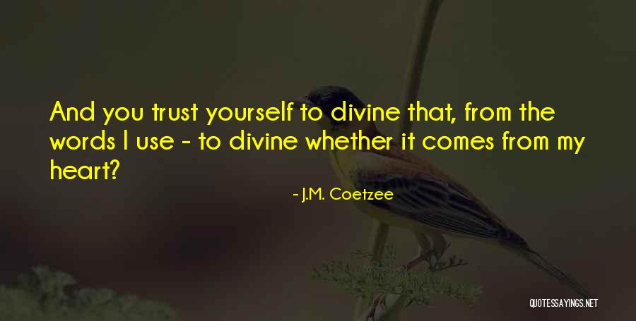 J.M. Coetzee Quotes 920274