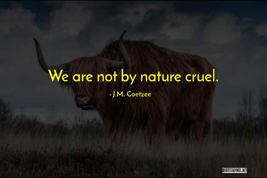 J.M. Coetzee Quotes 944268 J.M. Coetzee Quotes 944268