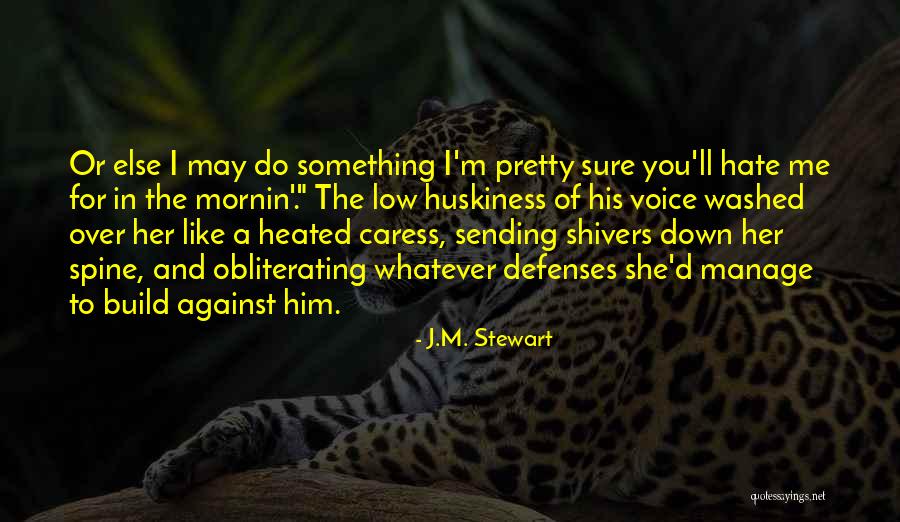 J.M. Stewart Quotes 658924