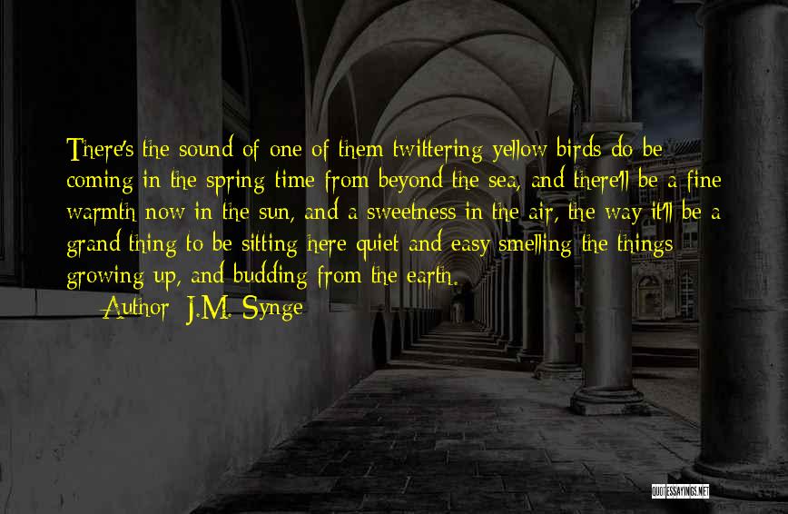 J.M. Synge Quotes 959701