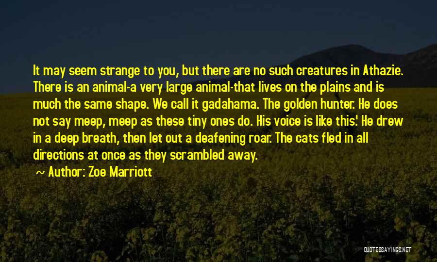 J Marriott Quotes By Zoe Marriott