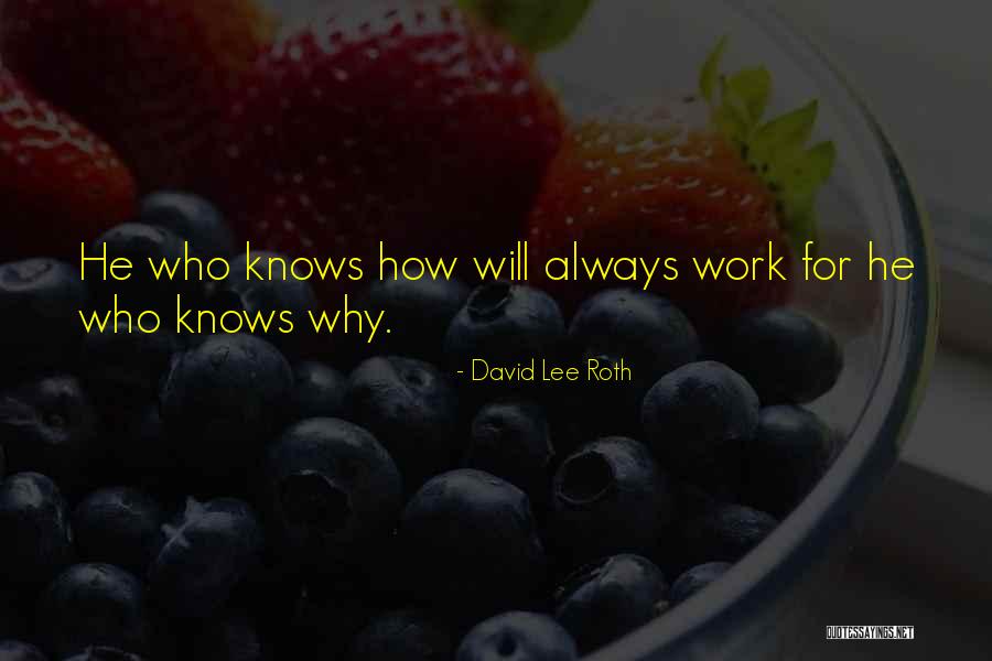 J Molley Quotes By David Lee Roth J Molley Quotes By David Lee Roth