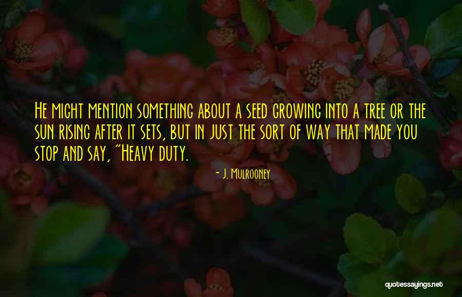 J. Mulrooney Quotes 1678146 J. Mulrooney Quotes 1678146