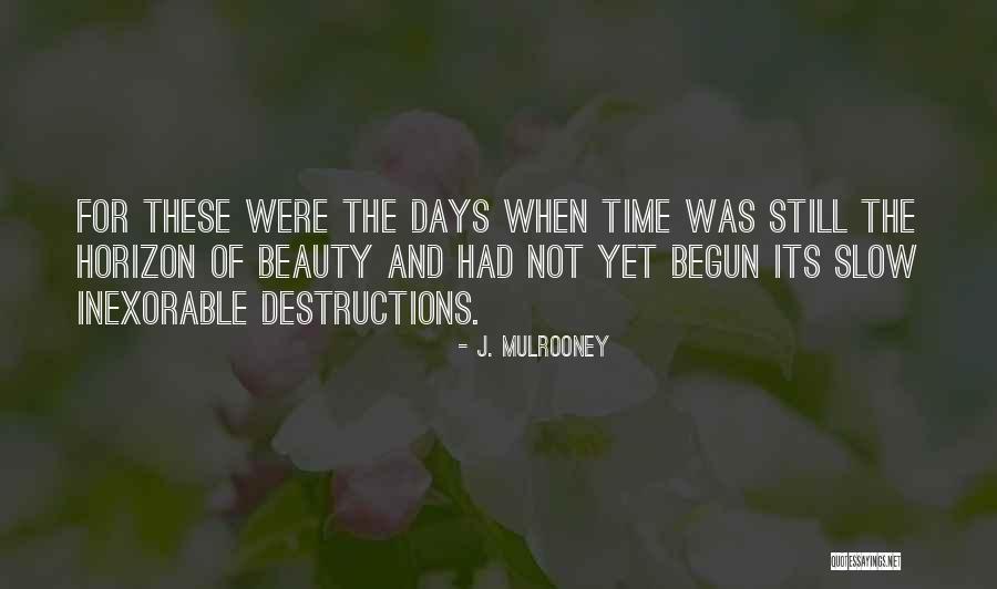 J. Mulrooney Quotes 2019267 J. Mulrooney Quotes 2019267