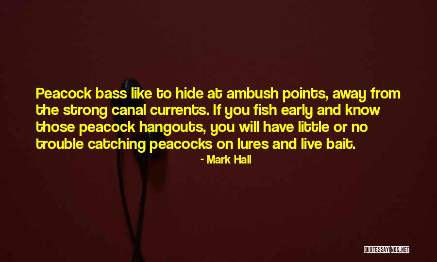 J O Bass Quotes By Mark Hall J O Bass Quotes By Mark Hall