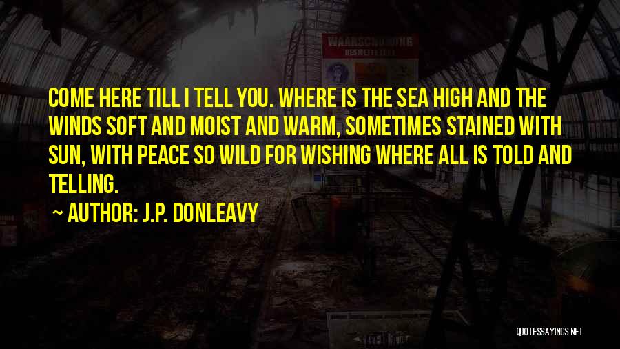 J.P. Donleavy Quotes 245465