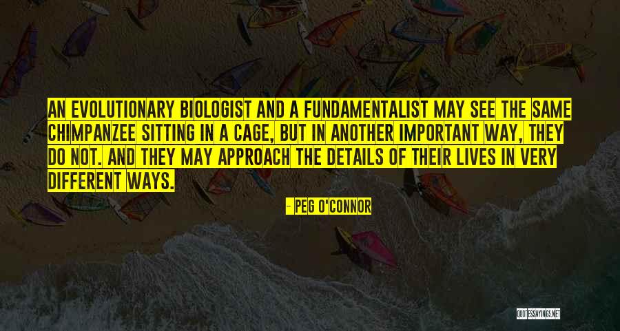 J Peg Quotes By Peg O'Connor J Peg Quotes By Peg O'Connor