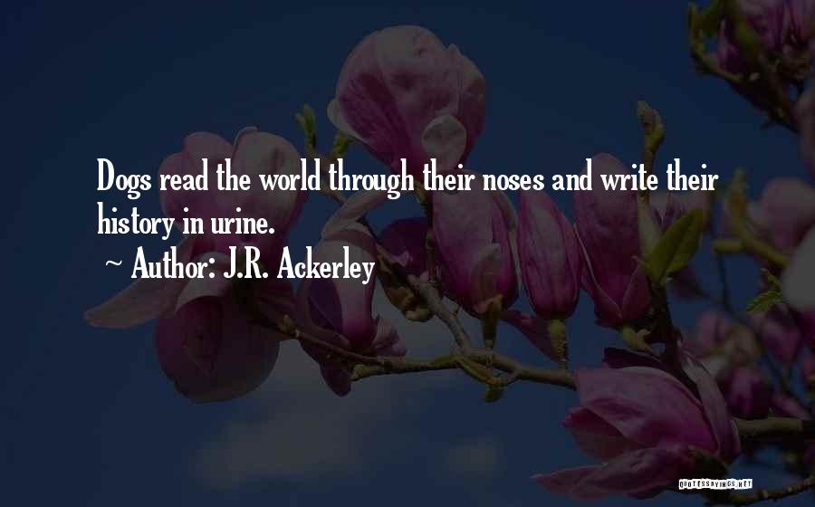 J.R. Ackerley Quotes 1478071