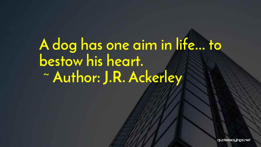 J.R. Ackerley Quotes 2075450