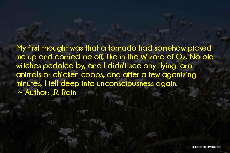 J.R. Rain Quotes 156926