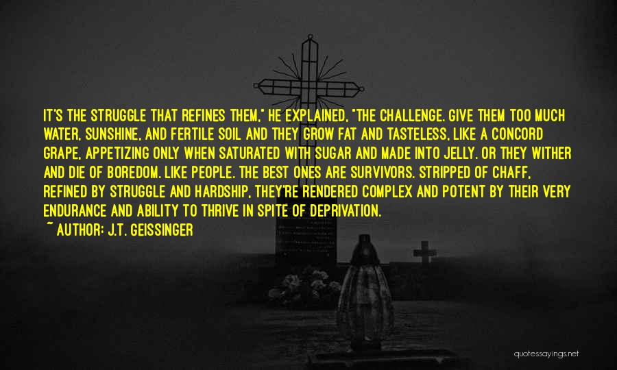 J.T. Geissinger Quotes 1209057